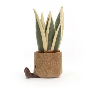 Amuseables Snake Plant - Image 2