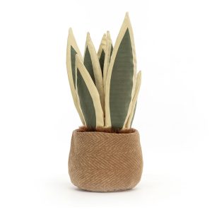 Amuseables Snake Plant - Image 3