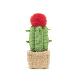 Amuseables Moon Cactus - Image 3