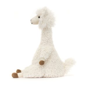 Alonso Alpaca - Image 2