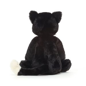 Bashful Black Kitten - Image 3