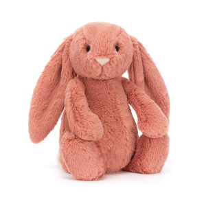 Bashful Sorrel Bunny - Image 4