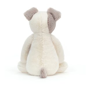 Bashful Terrier - Image 3