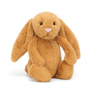 Bashful Golden Bunny - Image 5