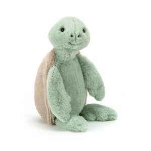 Bashful Turtle - Image 7