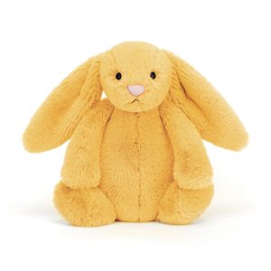 Bashful Sunshine Bunny - Image 10