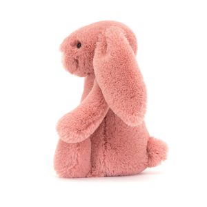 Bashful Sorrel Bunny - Image 2
