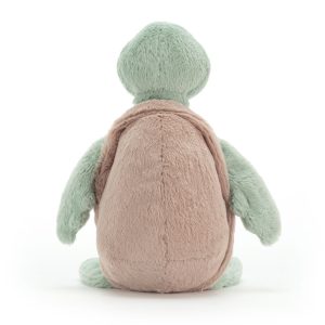 Bashful Turtle - Image 6