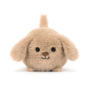 Caboodle Puppy - Image 4
