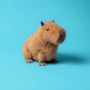 Clyde Capybara - Image 2