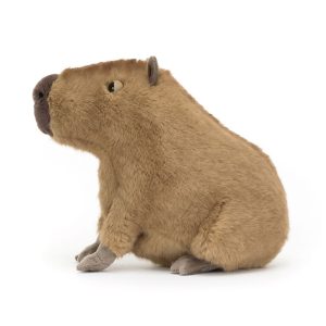 Clyde Capybara - Image 3