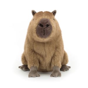 Clyde Capybara - Image 4