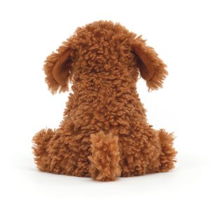 Cooper Doodle Dog - Image 3