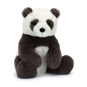 Harry Panda Cub - Image 14