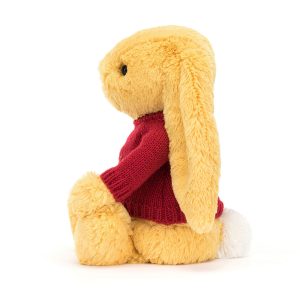Bashful Sunshine Bunny with Personalised Red Jumper - Image 3