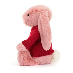 Bashful Petal Bunny with Personalised Red Jumper - Image 3