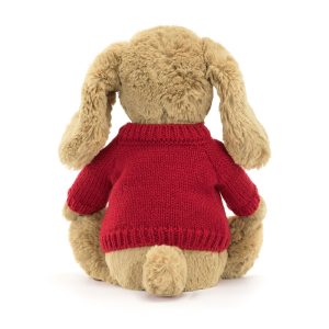 Bashful Toffee Puppy with Personalised Red Jumper - Image 4
