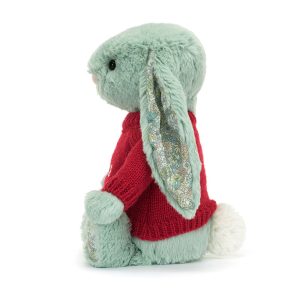 Blossom Sage Bunny with Personalised Red Jumper - Image 4