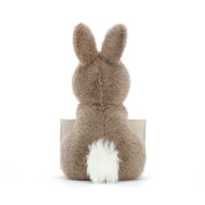 Messenger Bunny - Image 3