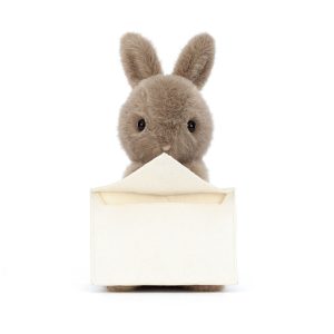 Messenger Bunny - Image 4