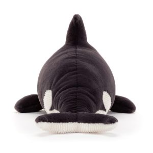 Ollivander the Orca - Image 3