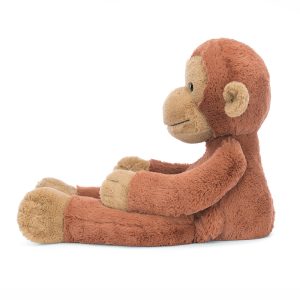 Pongo Orangutan - Image 2