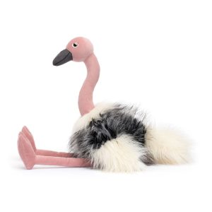 Ramonda Ostrich - Image 2
