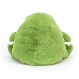 Ricky Rain Frog - Image 11