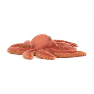 Spindleshanks Crab - Image 2