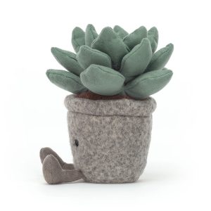 Silly Succulent Azulita - Image 2