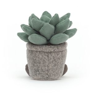 Silly Succulent Azulita - Image 3