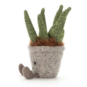 Silly Succulent Aloe - Image 2
