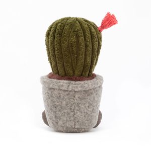 Silly Succulent Barrel Cactus - Image 3
