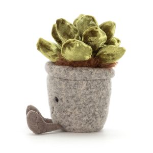 Silly Succulent Jade - Image 2
