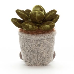 Silly Succulent Jade - Image 3