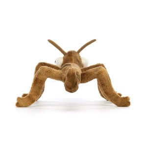 Stanley Stick Insect - Image 3
