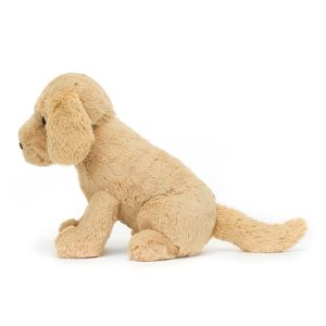 Tilly Golden Retriever - Image 2