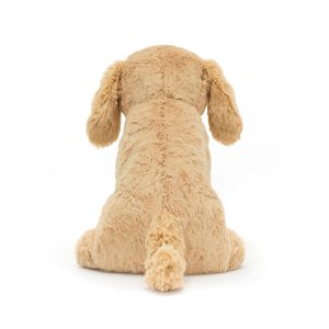 Tilly Golden Retriever - Image 3