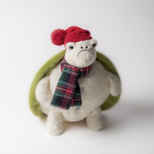 Snowman Timmy Turtle - Image 2