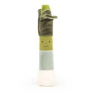 Vivacious Vegetable Leek - Image 4