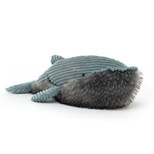 Wiley Whale - Image 7