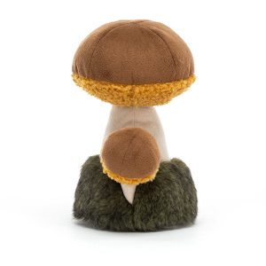Wild Nature Boletus Mushroom - Image 3
