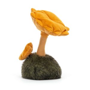 Wild Nature Chanterelle Mushroom - Image 2